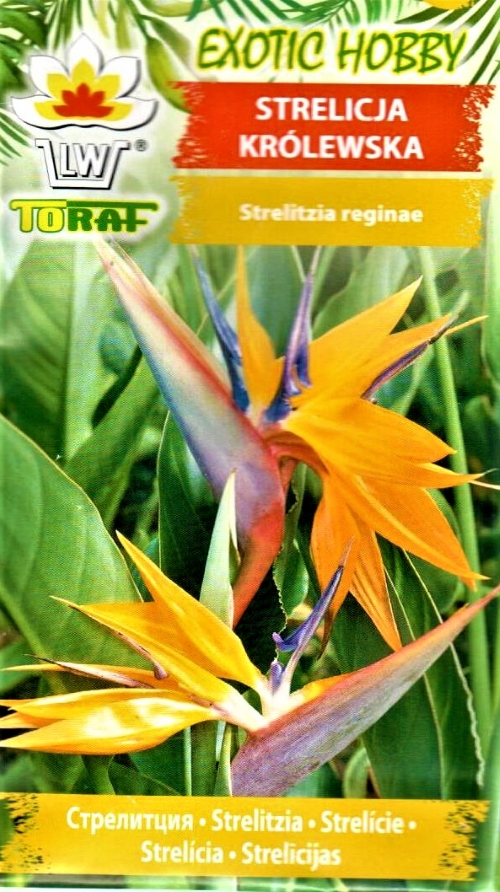 Puošnioji strelicija (Strelitzia reginae) 5 sėklos - Gero derliaus