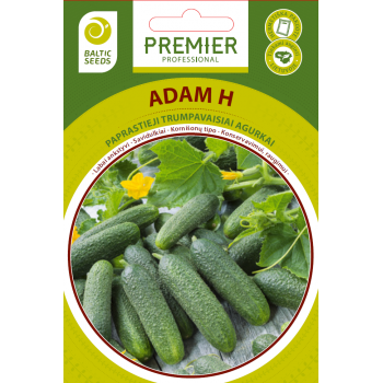 Paprastieji trumpavaisiai agurkai Adam F1(H) 20s