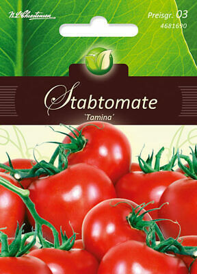 Valgomieji pomidorai Tamina 120s