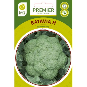 Brokoliai Batavia F1(H) 30s