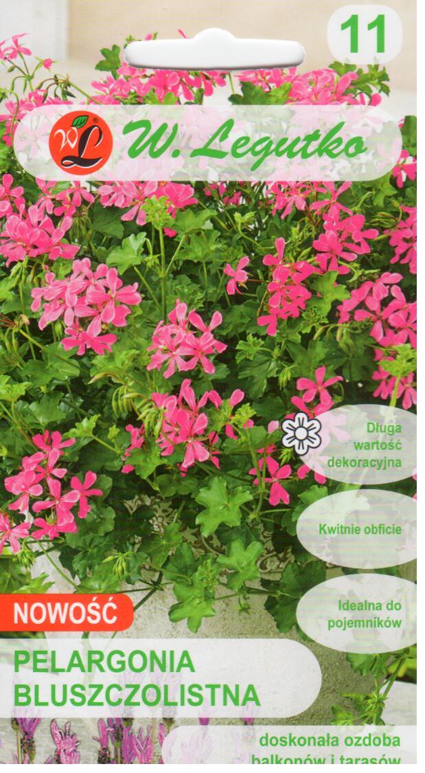 Skydalapė pelargonija Fuchsia F1 F2 (svyranti)(pelargonium peltatum) 5 sėklos
