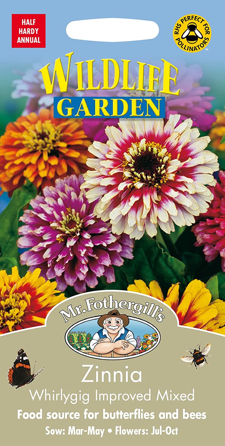 Puikioji gvaizdūnė Whirlygig Improved ( Zinnia elegans)75s