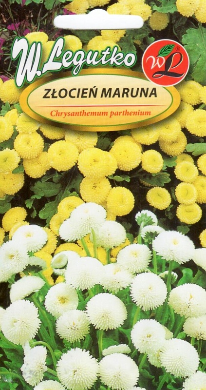 Vaistinis skaistenis mišinys (Chrysanthemum parthenium) Sėklų 0,1g