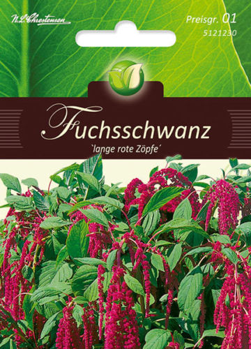 Uodegotasis burnotis Lange Rote Zopfe ( AMARANTHUS CAUDATUS) 130s
