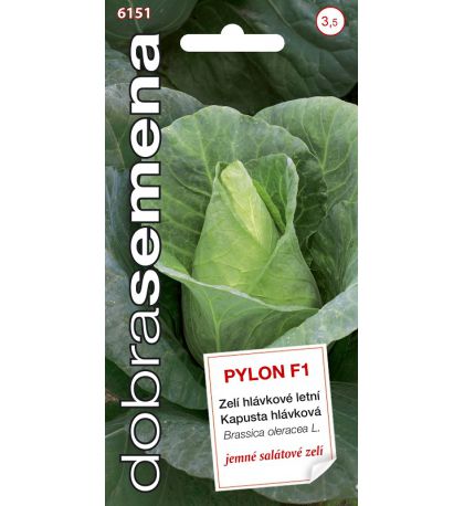 Baltagūžiai kopūstai Pylon F1 (Brassica oleracea L.convar. capitata var. alba) 40s