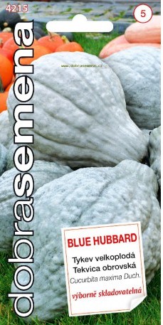 Didieji moliūgai Blue Hubbard ( Cucurbita maxima) 7s