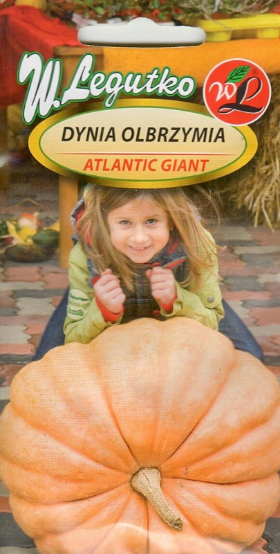 Didieji moliūgai Atlantic Giant (Cucurbita maxima) Sėklų 3g
