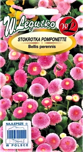 Daugiametė saulutė Pomponette (rožinė) (Bellis perrensis) Sėklų 0,1g