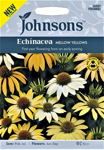 Rausvažiedė ežiuolė Mellow Yellows (Echinacea purpurea) 10s