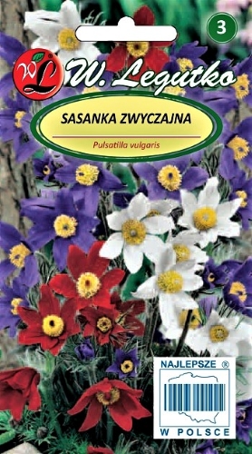 Paprastoji šilagėlė (mišinys) (Anemone pulsatilla) Sėklų 0,1g
