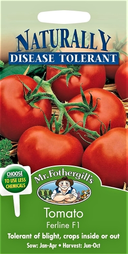 Valgomieji pomidorai Ferline F1(H)