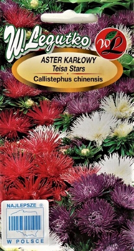 Kininis ratilis žemaūgis Teisa Stars (Callistephus chinensis) Sėklų 0,5g