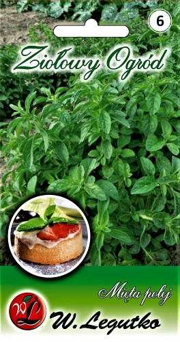 Taškuotosios mėtos (lot. Mentha pulegium) Sėklų 0,1g