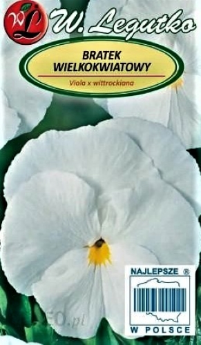 Darželinė našlaitė Firnenschnee (lot. Viola wittrockiana) Sėklų 0,5g