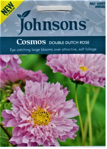 Paprastosios kosmėjos Dutch Rose ( Cosmos bipinnatus) 50s