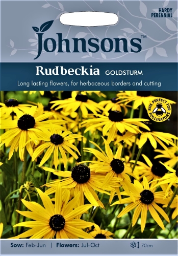 Žėrinčioji rudbekija Goldsturm (Rubeckia fulgida) 125s