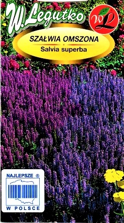 Nuostabieji šalavijai (Salvia superba) Sėklų 0,1g