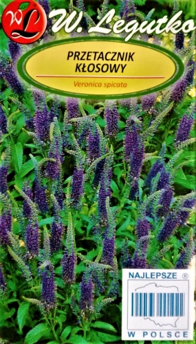 Varpotosios veronikos (lot. Veronica spinata) Sėklų 0,1g