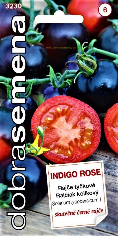 Valgomieji pomidorai Indigo Rose (lot. Lycopersicon esculentum) 10 sėklų