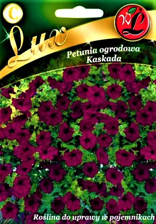 Hibridinė petunija svyranti Kaskada (purpurinė) (lot. Petunia x hybrida pendula) Sėklų 0,02g