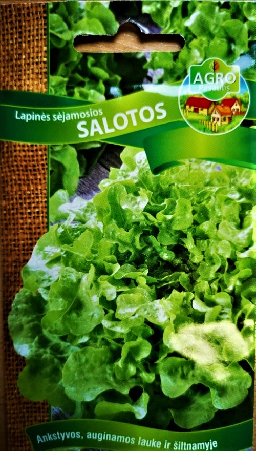 Sėjamosios salotos (Baby leaf) (lot. Lactuca sativa) 1400 sėklų