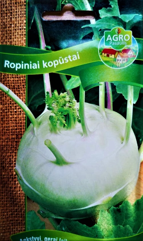 Ropiniai kopūstai (kaliaropės) Luna (lot. Brassica oleracea convar. acephala var. gongylodes)  350 sėklų