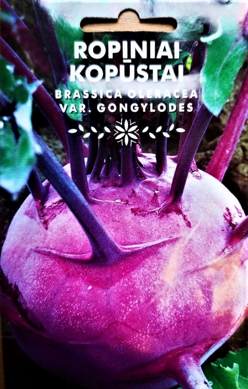 Ropiniai kopūstai (kaliaropės) Blankyt (lot. Brassica oleracea convar. acephala var. gongylodes) 290 sėklų