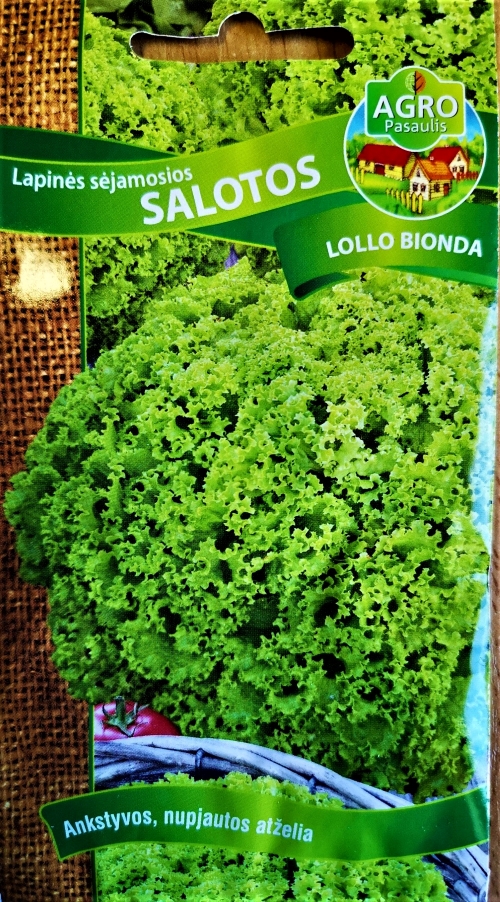 Sėjamosios salotos Lollo Bionda (lot. Lactuca sativa var. crispa) 1000 sėklų