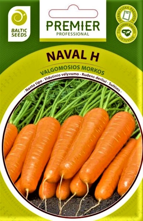 Valgomosios morkos Naval H (lot. Daucus carota) 600sėklų