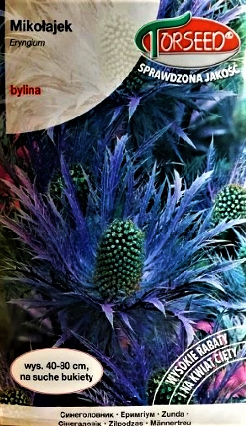 Plokščialapė zunda (lot. Eryngium planum) Sėklų 0,5g