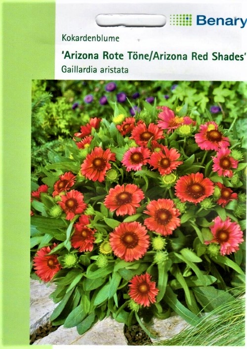 Akuotoji gailiardija Arizona Red Tone/ Shades (lot. Gaillardia aristata) 25 sėklos