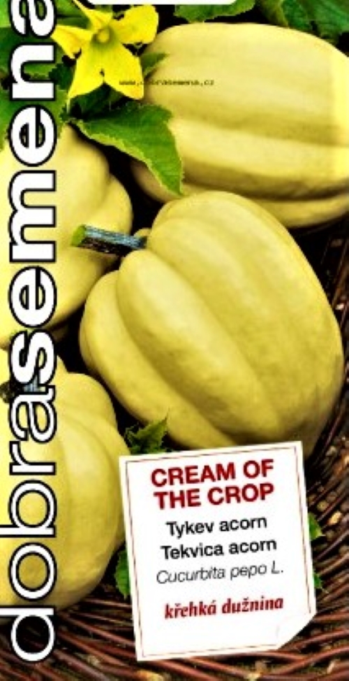 Paprastieji moliūgai Cream of The Crop (lot. Cucurbita pepo) 10 sėklų