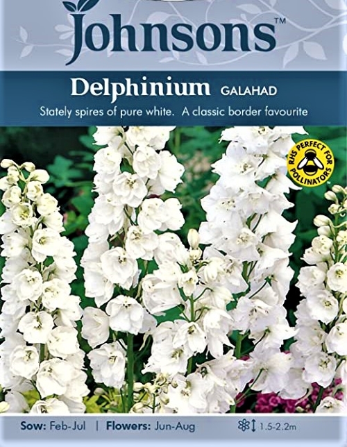 Darželinis pentinius Gallahad (lot. Delphinium cultorum) 60 sėklų