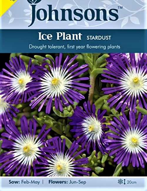 Mudrės Ice Plant (lot. Delosperma floribunda) 30 sėklų