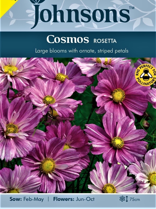 Paprastoji kosmėja Rosetta (lot. Cosmos bipinnatus) 20 sėklų