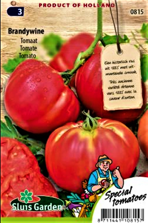 Valgomieji pomidorai Brandywine (lot. Lycopersicon esculentum) 45 sėklos