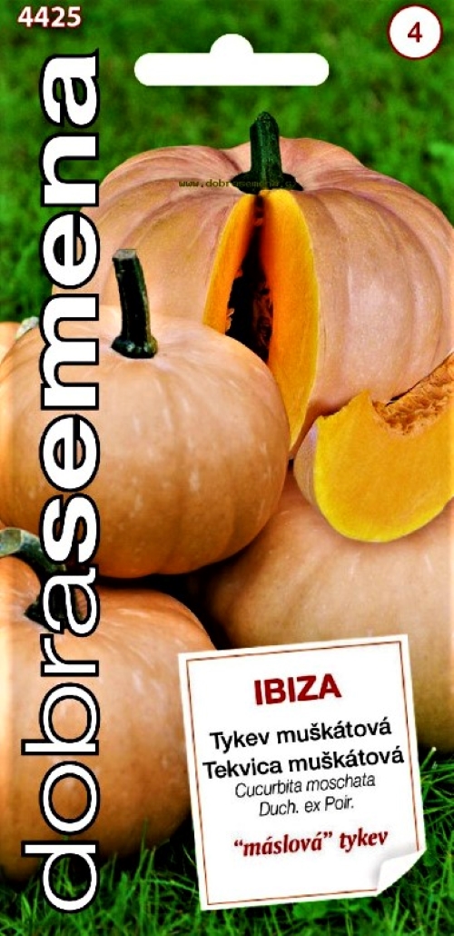 Muskusiniai moliūgai (kvapieji) Ibiza (lot. Cucurbita moschata) 10 sėklų