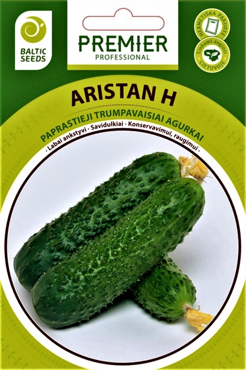 Paprastieji trumpavaisiai agurkai ARISTAN H, 20 sėklų
