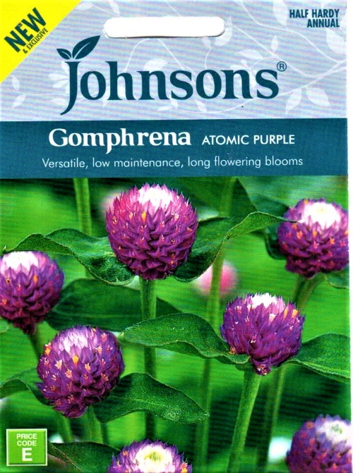 Rutulinės gomfrenos Atomic Purple (lot. Gomphrena globosa) 30 sėklų