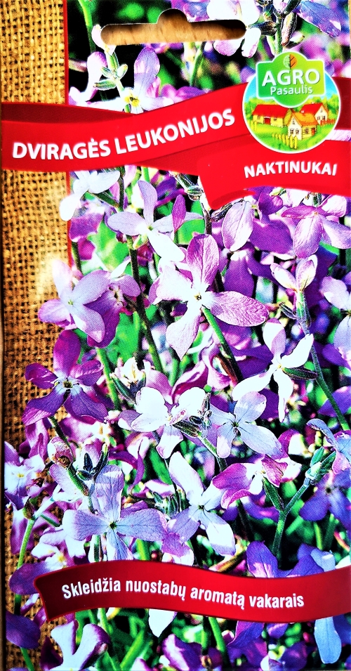 Dviragė leukonija ("naktinukai") 960 sėklų (lot. Matthiola bicornis)