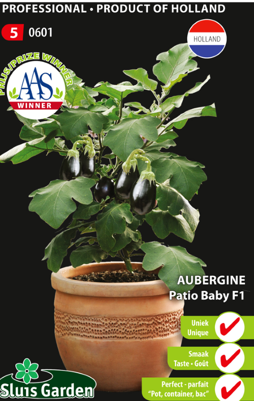 Baklažanai Patio Baby F1 (lot. Solanum melongena) 10 sėklų