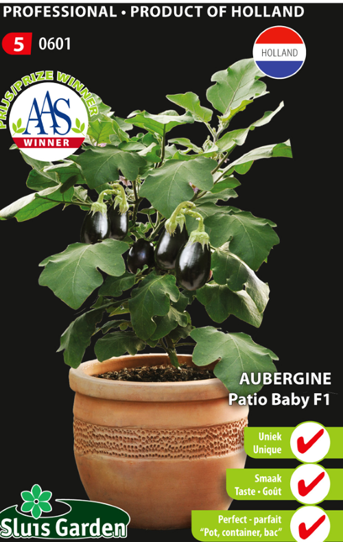 Baklažanai Patio Baby F1 (lot. Solanum melongena) 10 sėklų (2026.01)