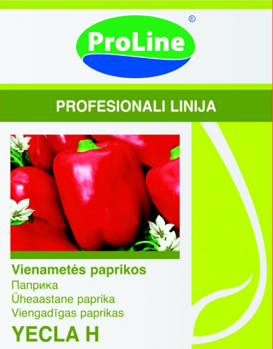 Vienametės papricos YECLA H (Capsicum annuum)  8 sėklos