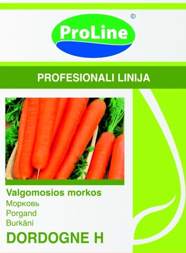 Valgomosios morkos DORDOGNE H (Daucus carota) 200 sėklų