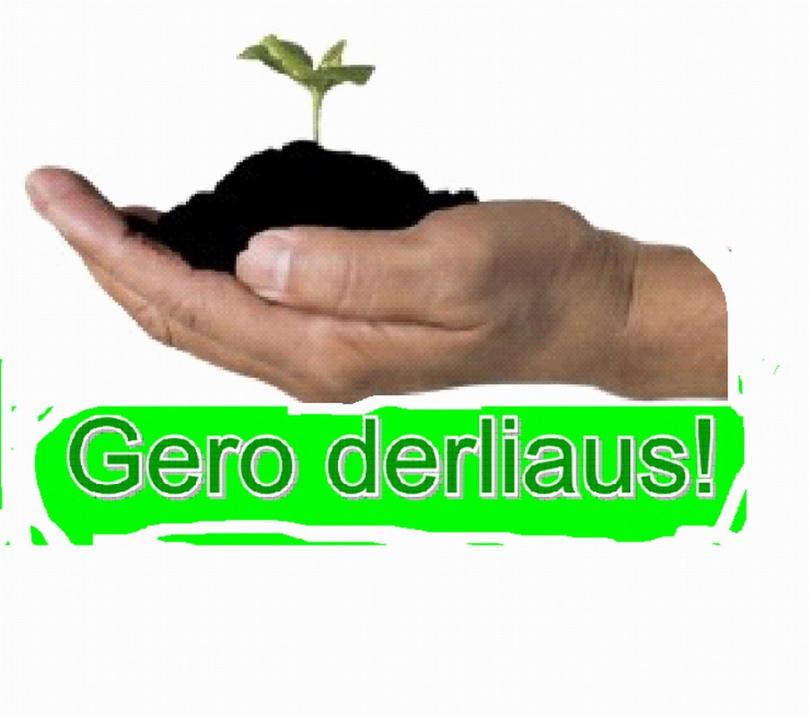 BIOSTIMULIATORIUS SU LAISVOSIOMIS L-α AMINORŪGŠTIMIS. Delfan Plus 100ml
