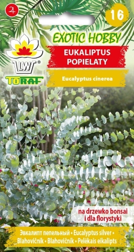 Eukaliptai pilkieji (lot. Eucalyptus cinerea) 20 sėklų