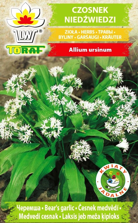 Meškiniai česnakai (lot. Allium ursinum) Sėklų 0,25g