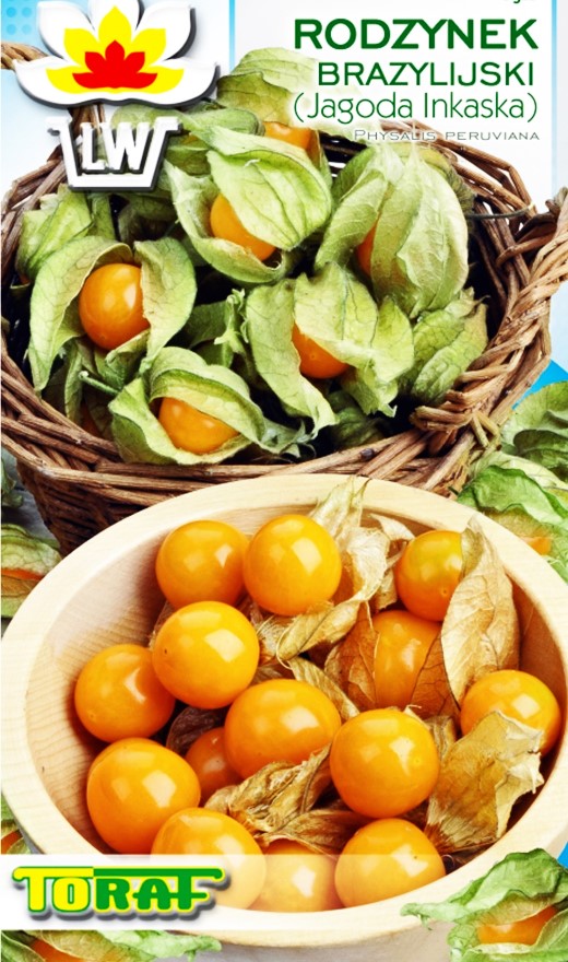 Peruvinės dumplūnės (lot. Physalis peruviana) Sėklų 0,2g