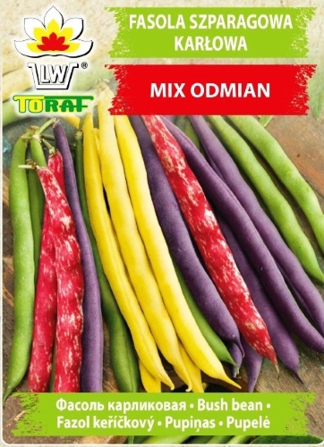 Žemaūgės daržinės šparaginės  pupelės (veislių mišinys) (lot. Phaseolus vulgaris) Sėklų 40g