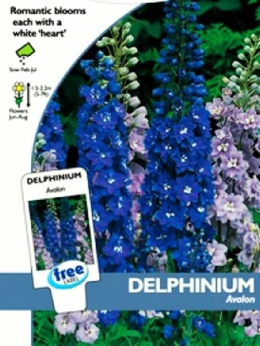Darželiniai pentiniai  'AVALON' (lot. Delphinium cultorum)  40 sėklų